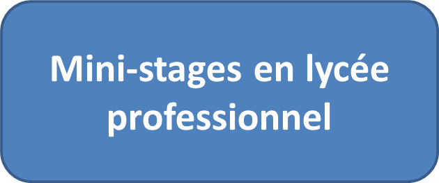 mini stages.png